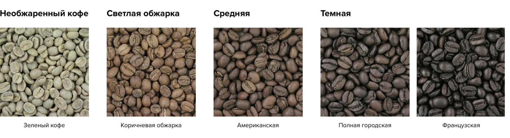 Степени обжарки_3.jpg Степени обжарки_3.jpg